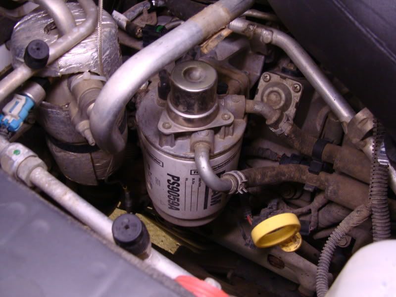 Fuel Filter Replacement Guide Diesel Place